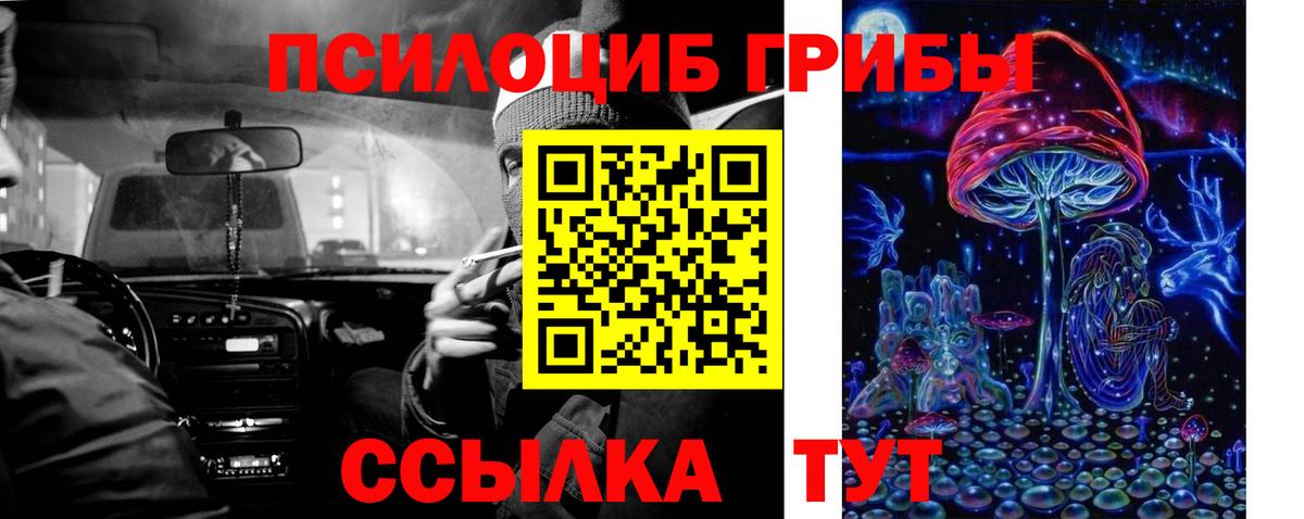 Галлюциногенные грибы GOLDEN TEACHER  Вход с VPN  Чайковский 